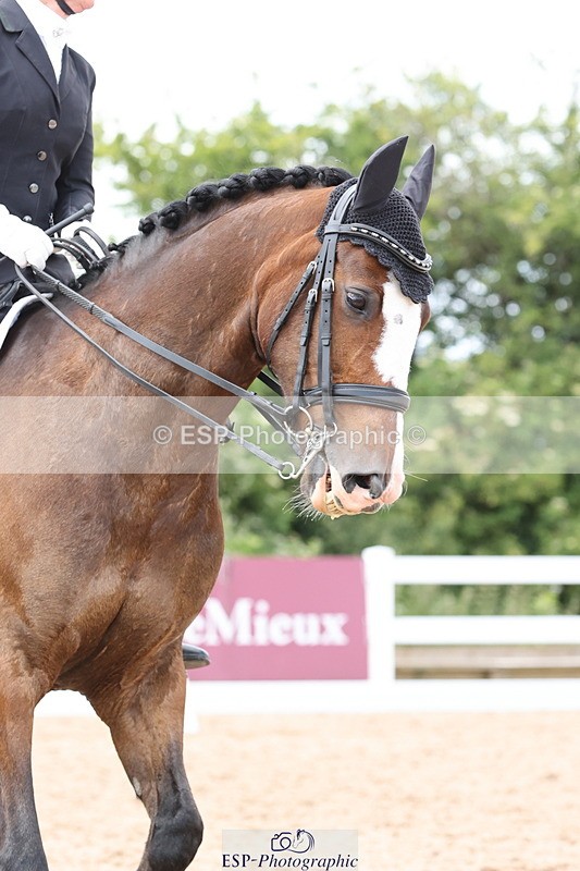 240622A-143450-13527 - Cls 33 BD Medium 73