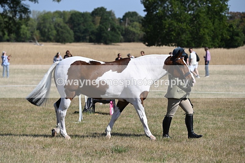 WJ6_4178 - Class 16 Condition & Turn Out