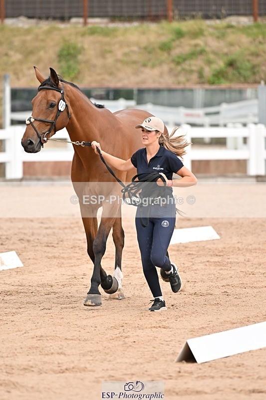 250716-151317-01779 - Trot Up 2.30 to 3.30