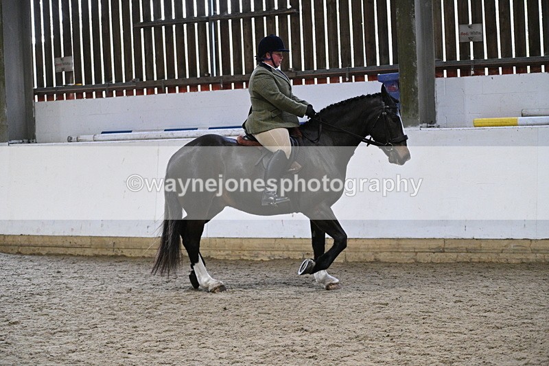 WJ7_3909 - Class 17 Ridden Cob