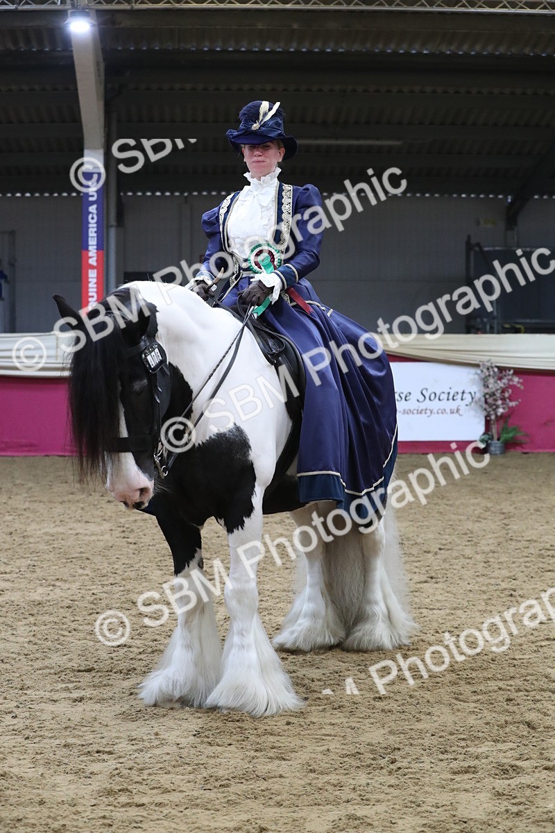 SBM_12064 - Class 106 Ridden Costume- Astride Adult (15-19)