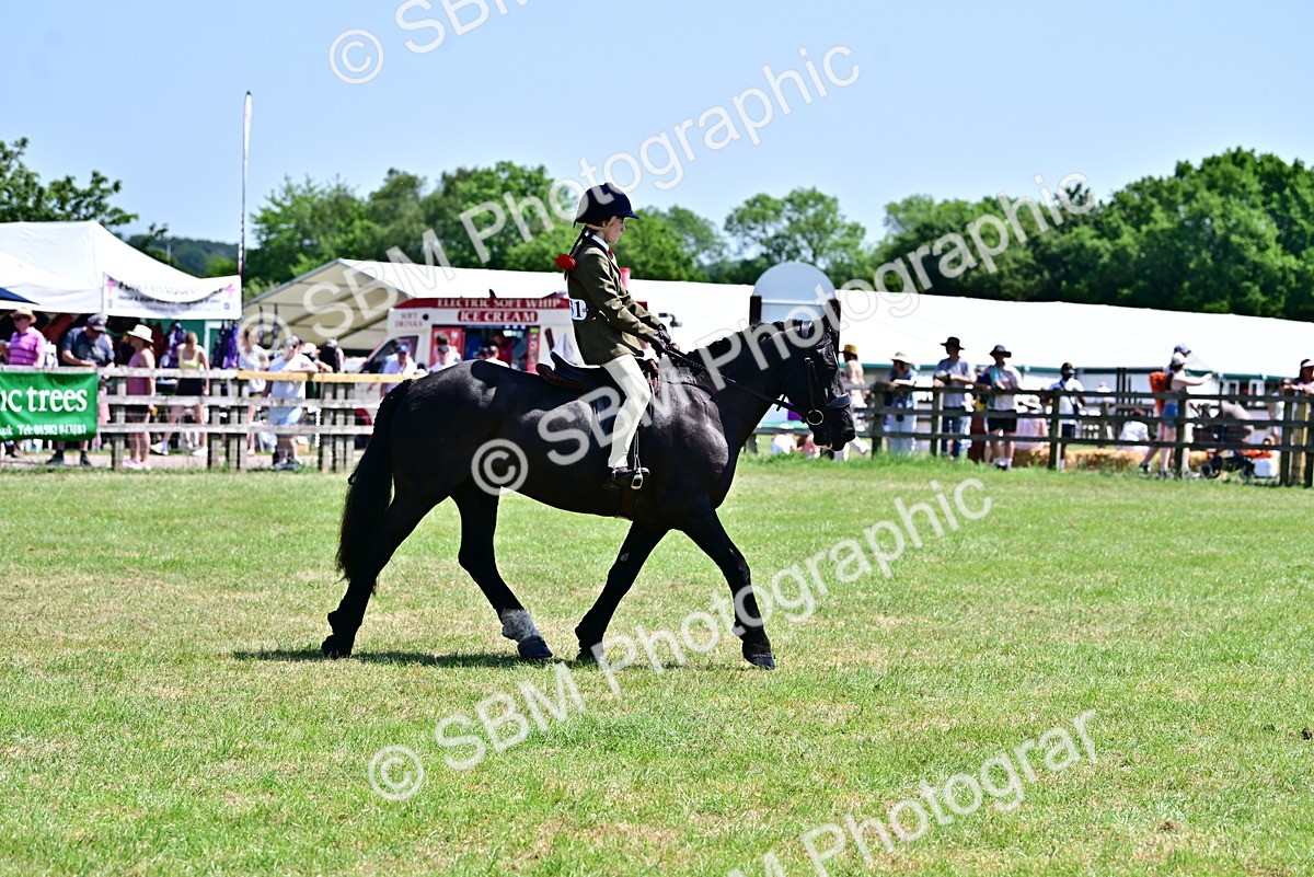 SBM_17415 - Class 95-97 - BSPS LHS Performance Ponies