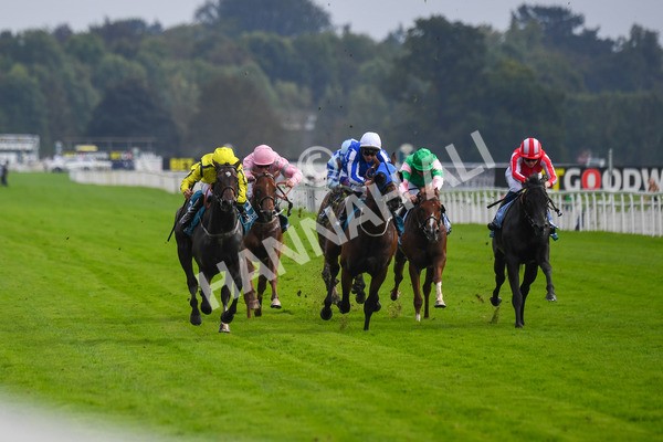 100923-Race 4-Tropical Island-0739 - Race 4 3.15pm Edge Windows Nursery Handicap at York