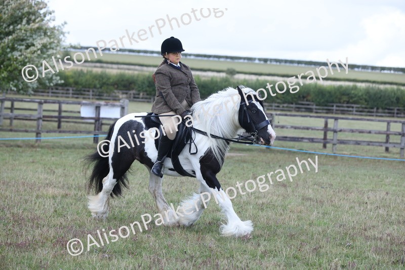 20250831-4375 - Class 20 - Ridden Coloured