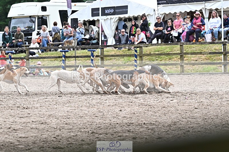 250524A-152316-12714 - East Devon Hounds