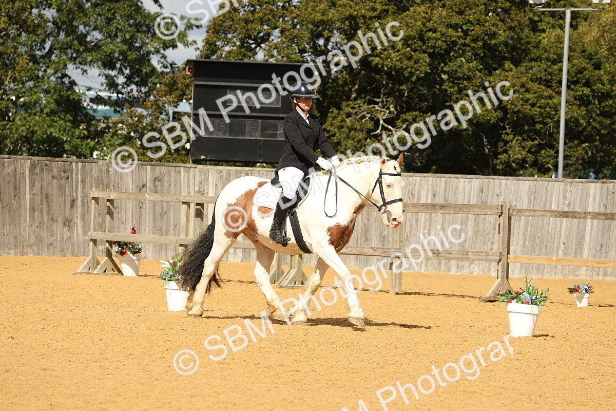 SBM_41794 - D21 - Junior Championship - Intro A