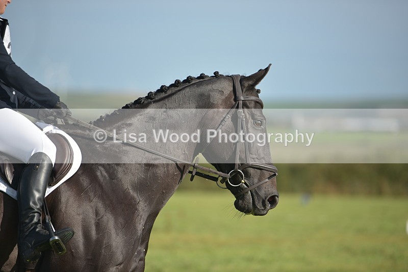 RAY_7443 - Class 2B: Trekenning Open: Dressage