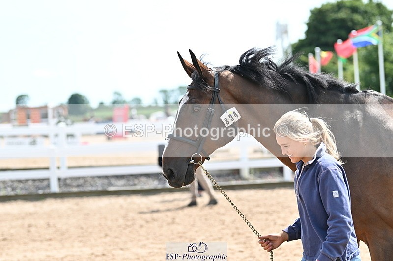 240717A-150959-02602 - Trot Up 3pm to 4pm