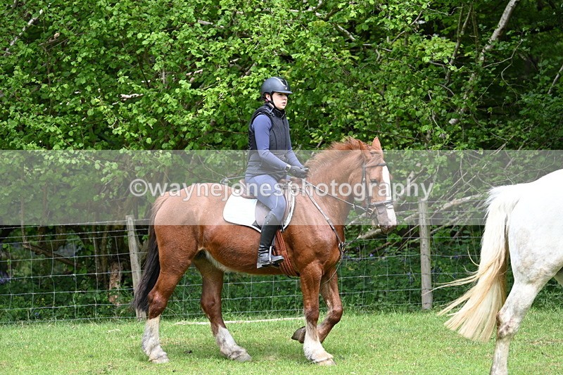 WJ7_2224 - Group 4 A&B Cameras