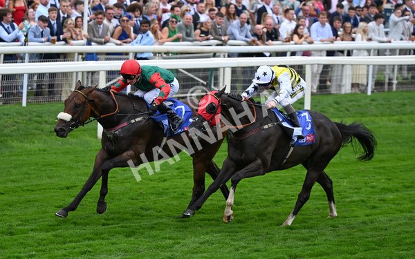 230825-225 Northern Ticker - Race 5 4.10pm Sky Bet Constantine Handicap
