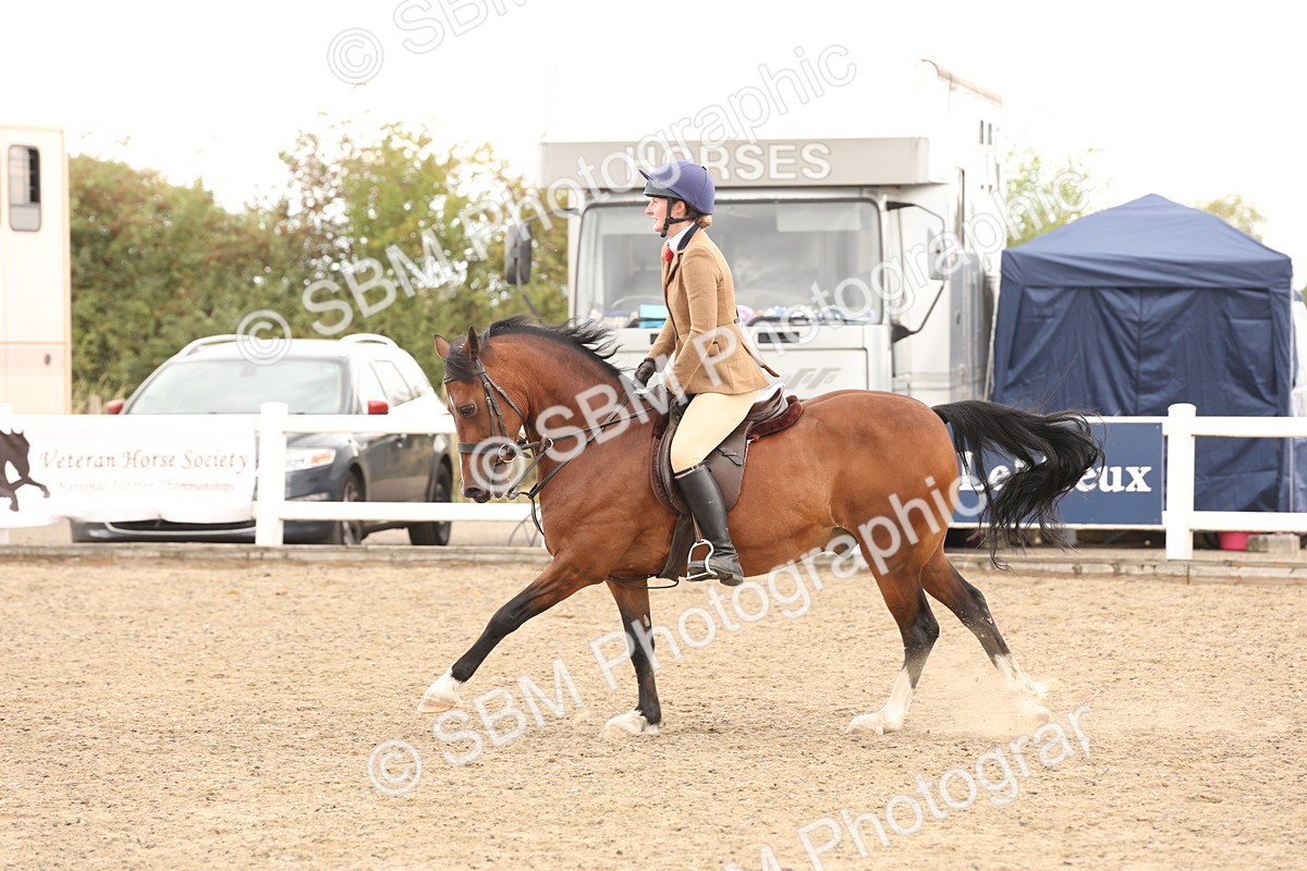 SBM_06716 - Class 58a -  Style & Performance - 70cm (15-19)