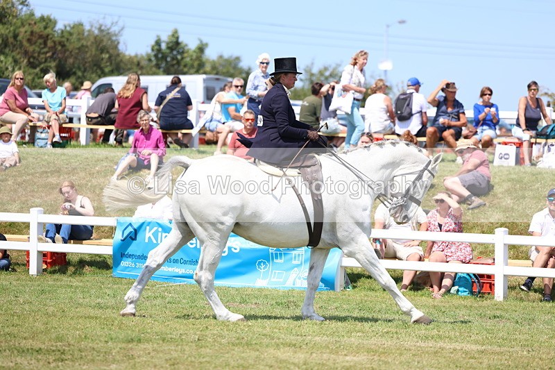3E7A9612 - Class 13: Side Saddle