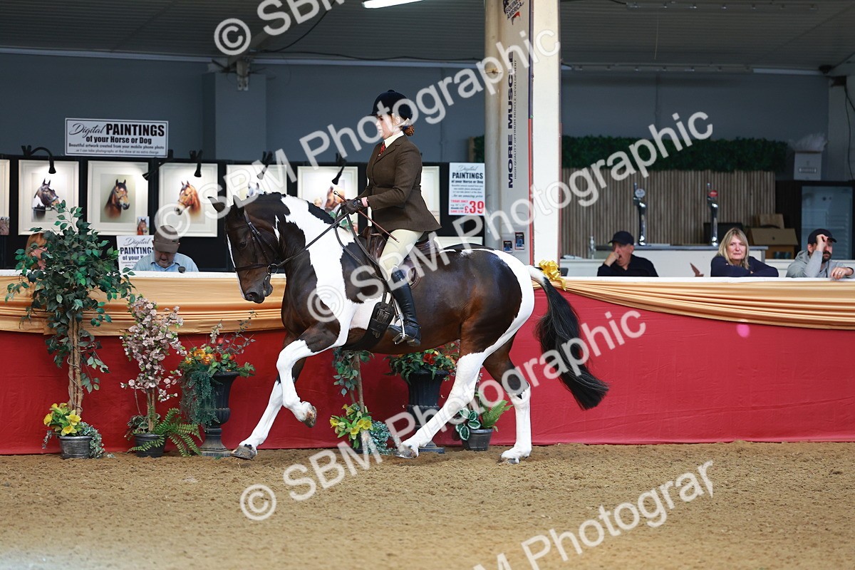 SBM_09768 - Class 102 - HOYS Veteran Qualifier - Ridden Veteran