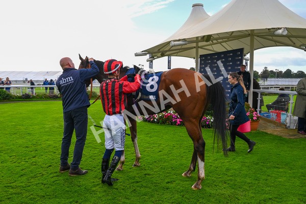 131023-Race 4-Hafeet Alain-7946 - Race 4 3.50pm William Hill Autumn Mile Handicap