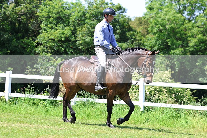 3E7A7173 - Class 30: Novice Working Hunter