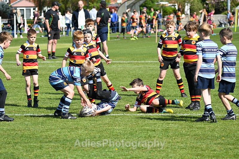  - Selby Rugby Festival 2025