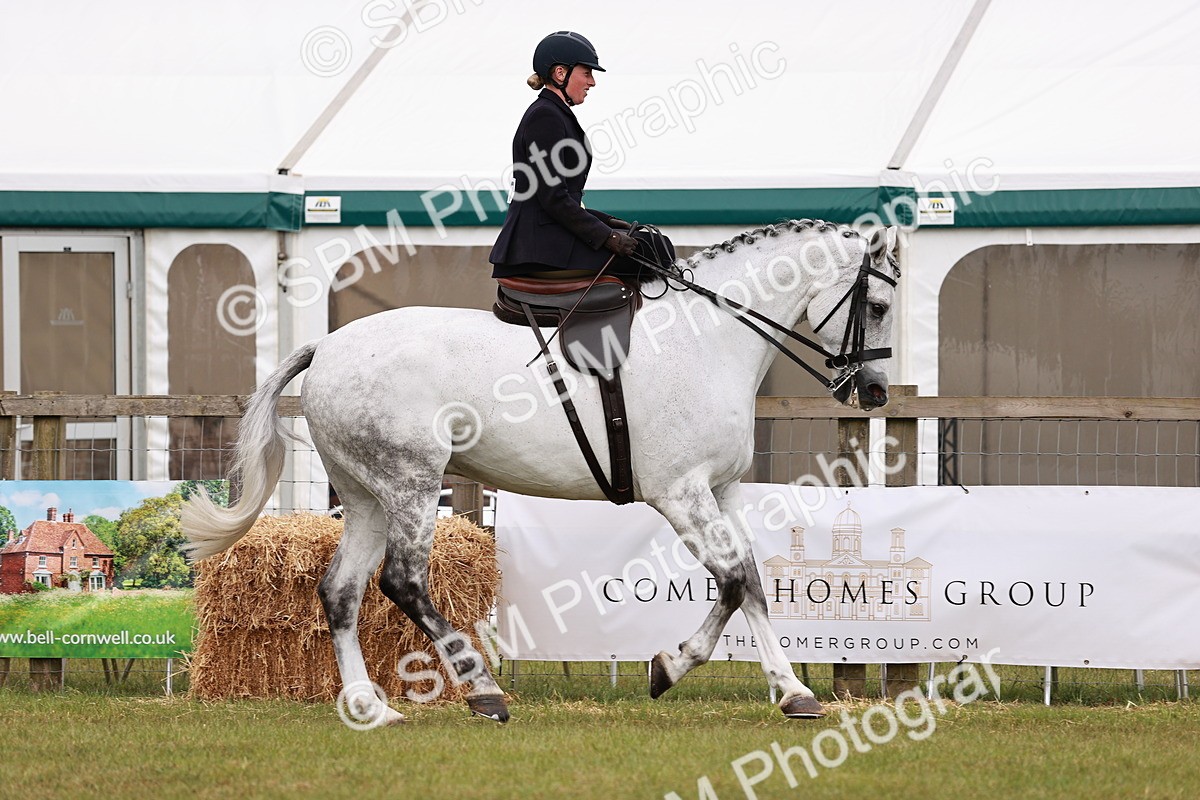 SBM_10975 - Class 81-84 - RIHS Ridden hunters Inc Ladies Hunter