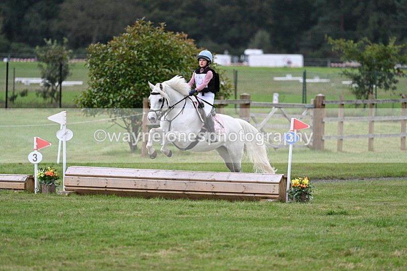 WJ7_8490 - 60cm Time 12:11 to 12:30