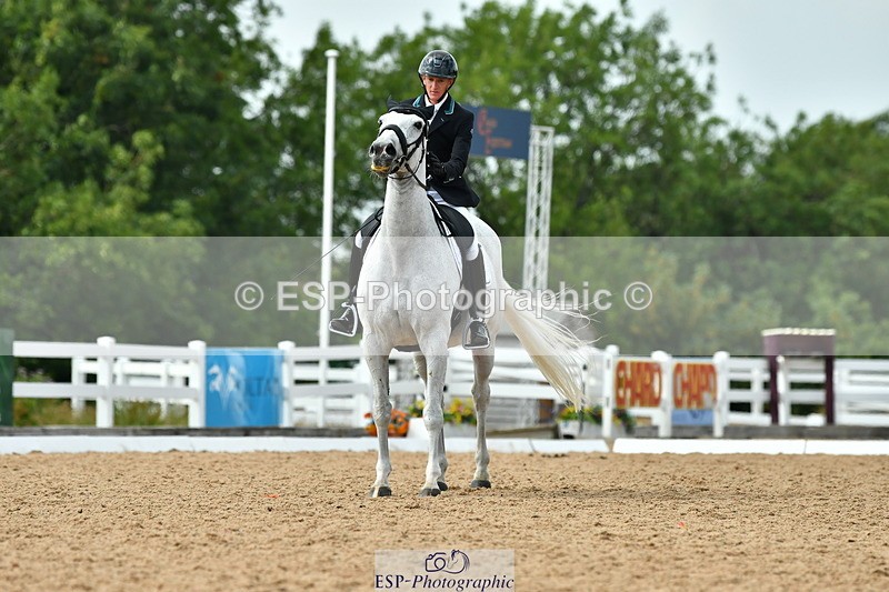 230701A-161358-07354 - Cls 13 Adv Medium 91