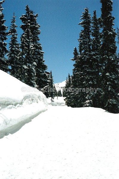  - Colorado
