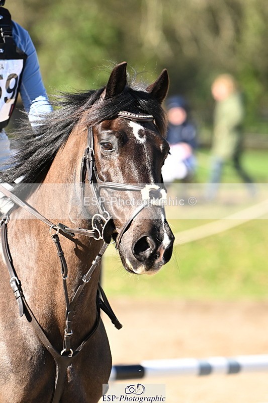 250302A-105537-01613 - Cls 01 70-75cm