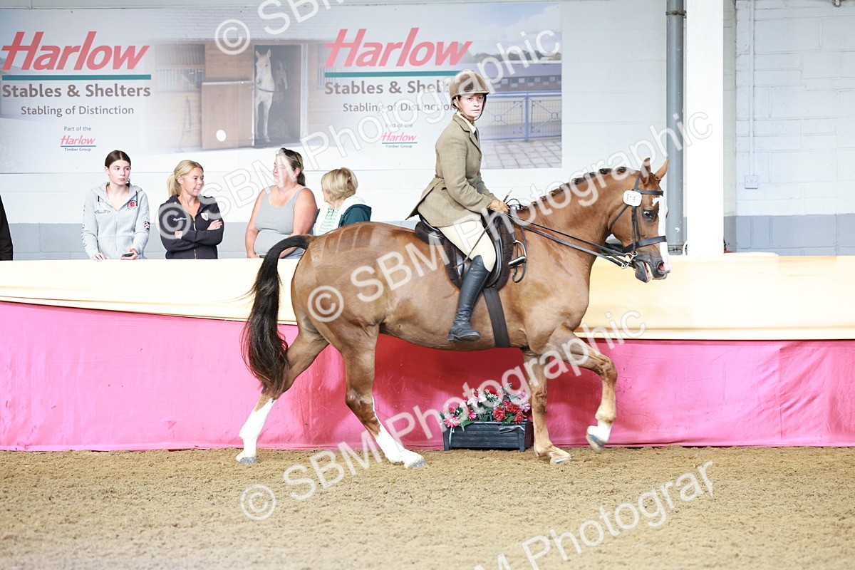SBM_11970 - Class 102 - Equitation (Best Rider) Adult