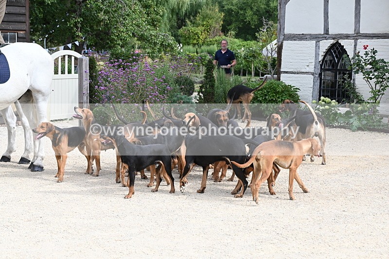 WJ6_3441 - Berks & Bucks - The Old farmhouse - Hound Exercise 20-08-25
