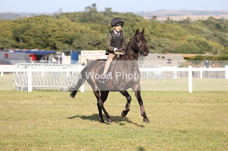 JPP_3254 - Class 21: Working Hunter 80cm
