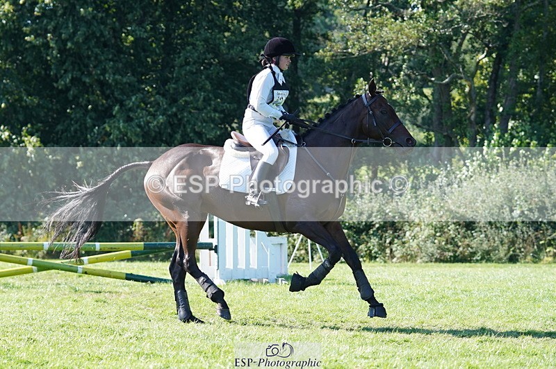 240811A-170604-06533 - 421-