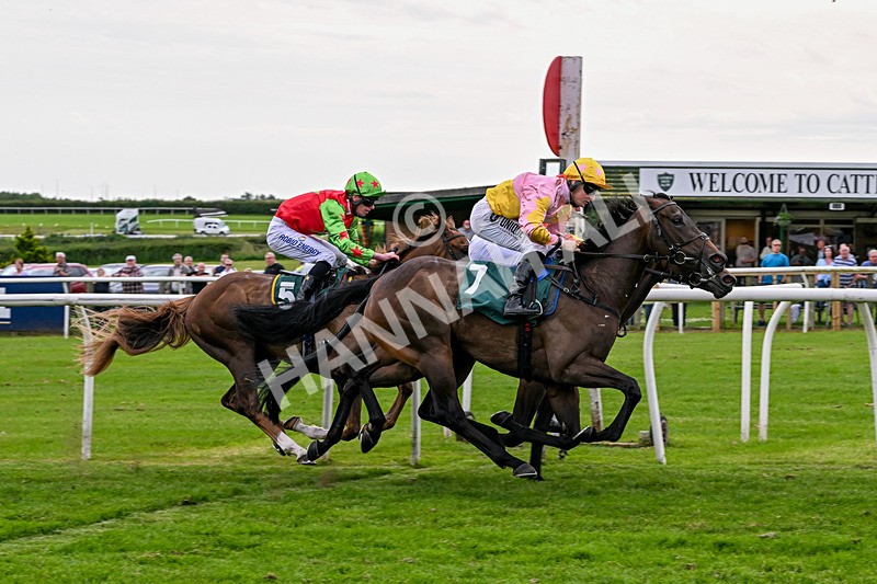 220626-Race 3-Battenburg Belle-8917 - Race 3 15.30pm Catterick Racecourse Supporting Racing Staff Week Handicap