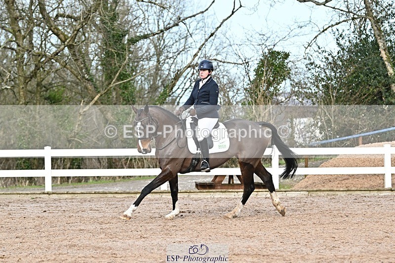 250125-131816-00599 - Dressage - CT Class 6 BE102