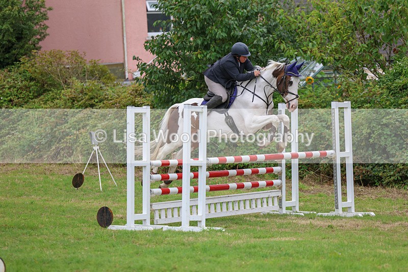 3E7A7990 - Class 7: Senior Newcomers/1.10m open
