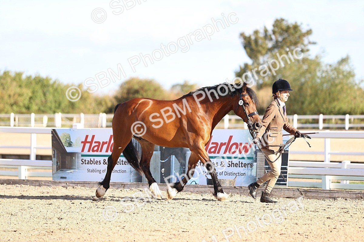SBM_08414 - Class 402 - IH Veteran Pony