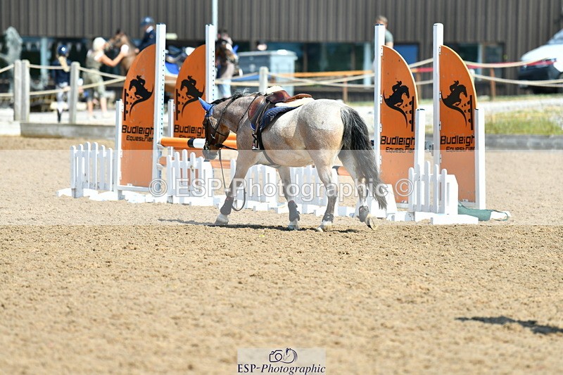 230625A-103913-03592 - Cls 14 Cats and Pipes Champ Quali