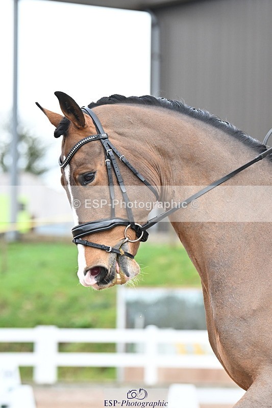 240218A-134224-07689 - 262-Amy.Hose-Enrique