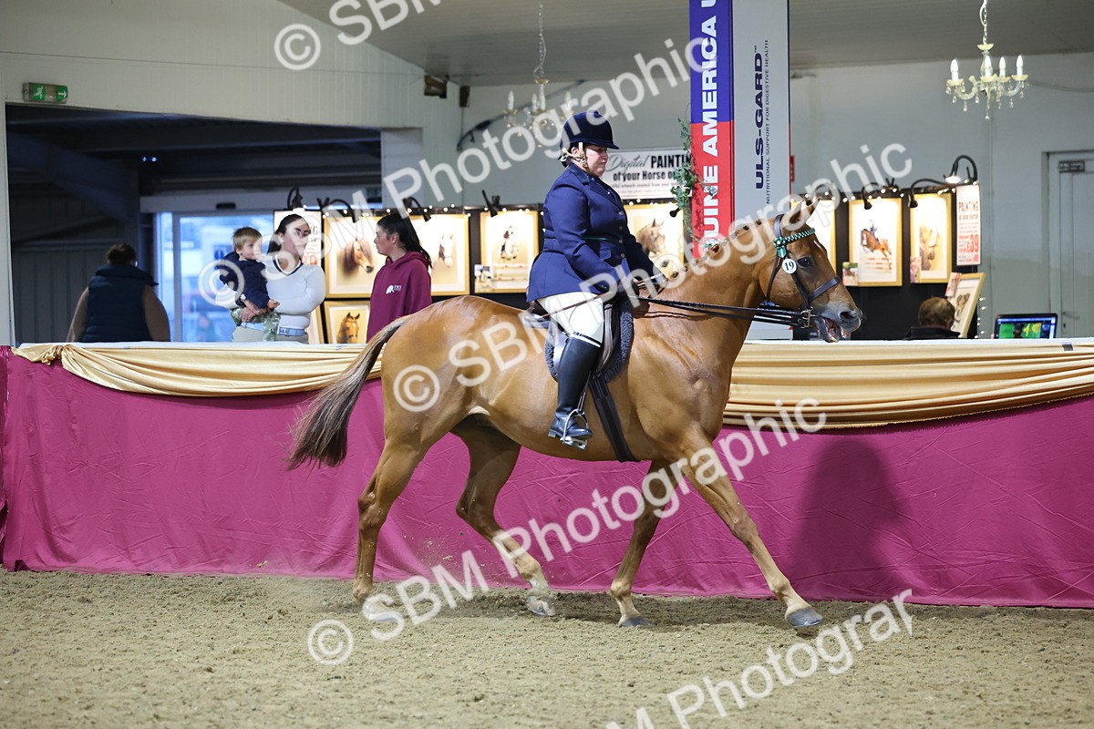 0B8A4284 - Class 108Ridden Retired Racehorse- Final Judging
