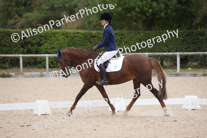 20250820-1259 - Class 18 - Elementary 5