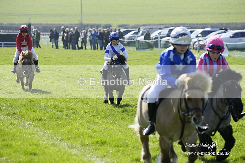PtP 190322 17 - Wilton Hunt PtP Milborne St Andrew 19/03/22