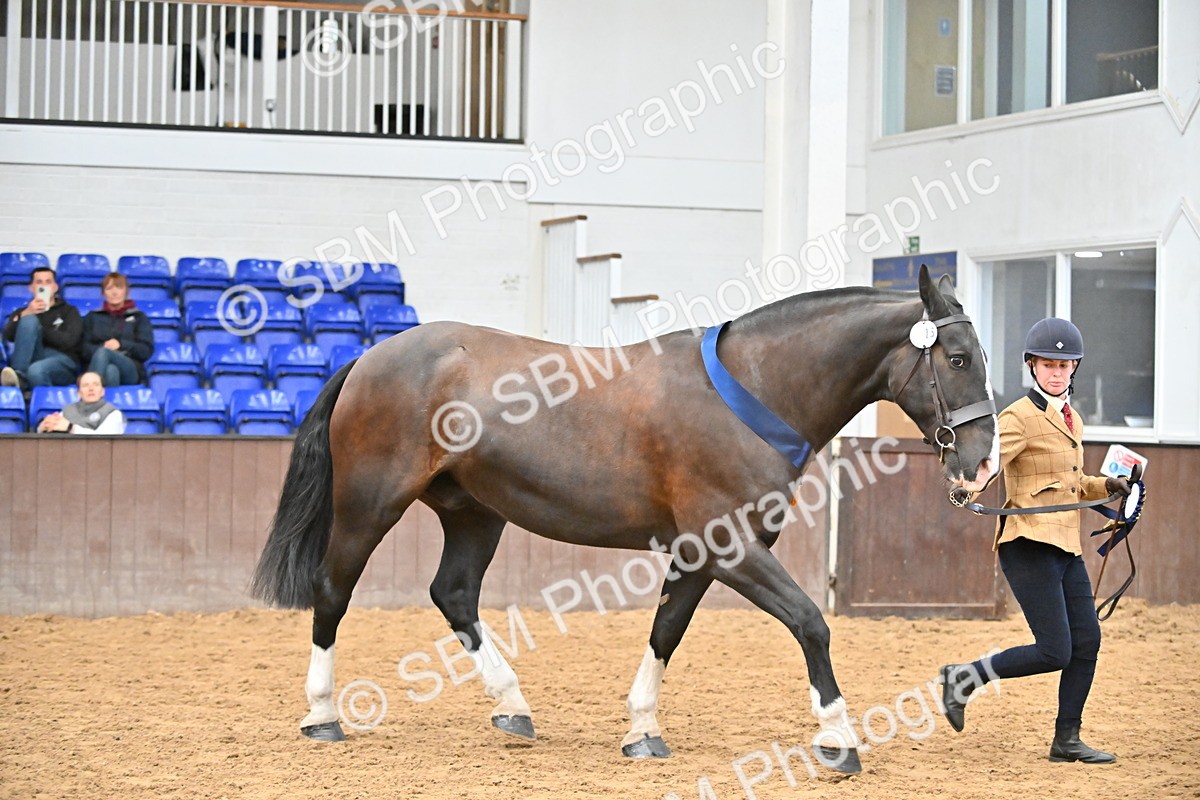 SBM_000807 - Class 16 - In Hand Showing Supreme Championships