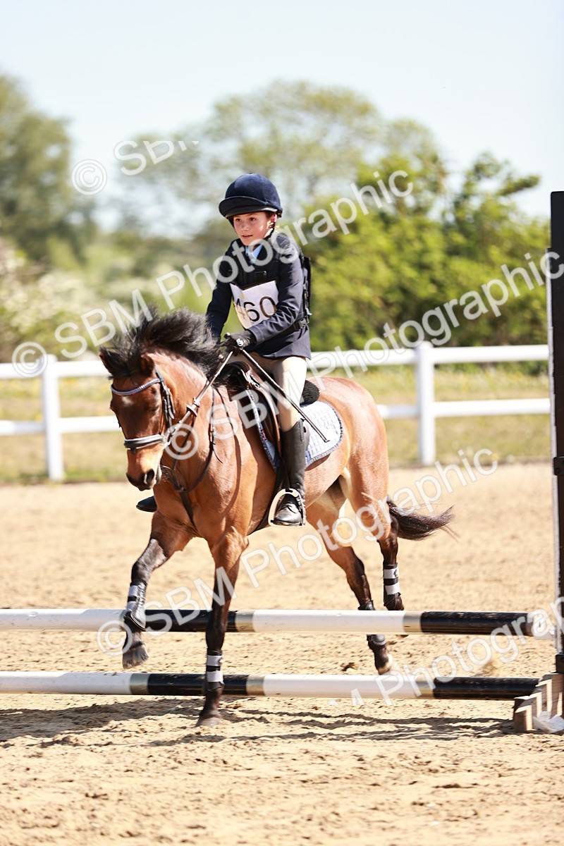 SBM_006813 - Class 2 - 50cm