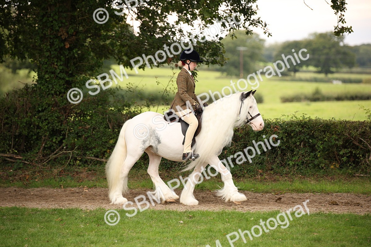 SBM_73437 - S68 - Traditional Cob Ridden