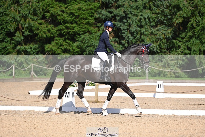 240809-163601-02411 - Novice Gold