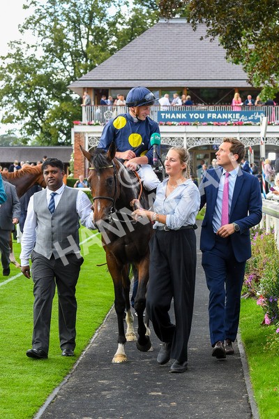 240823-Race 5-Sea Theme-0710 - Race 5 4.10pm British EBF & Sir Henry Cecil Galtres Stakes