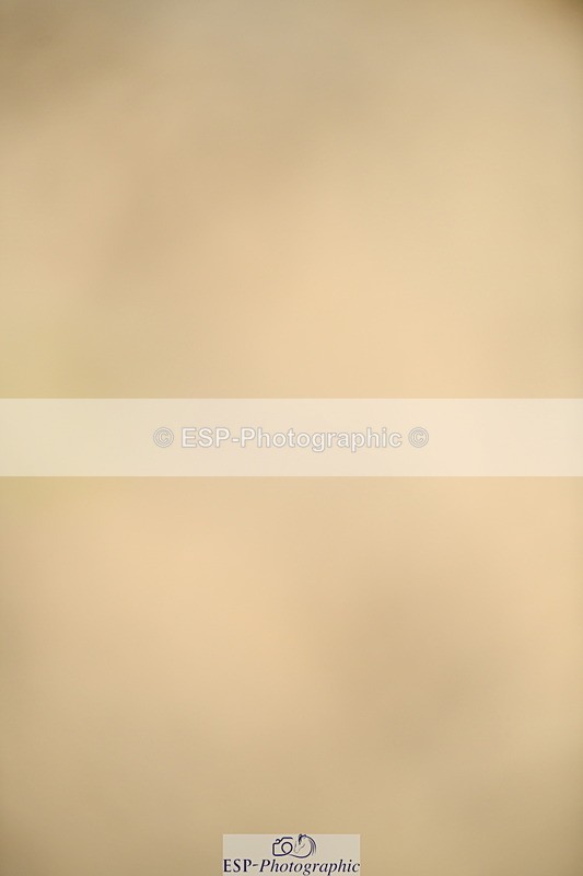 251004A-150025-01623 - Classes 8 & 9 70cm