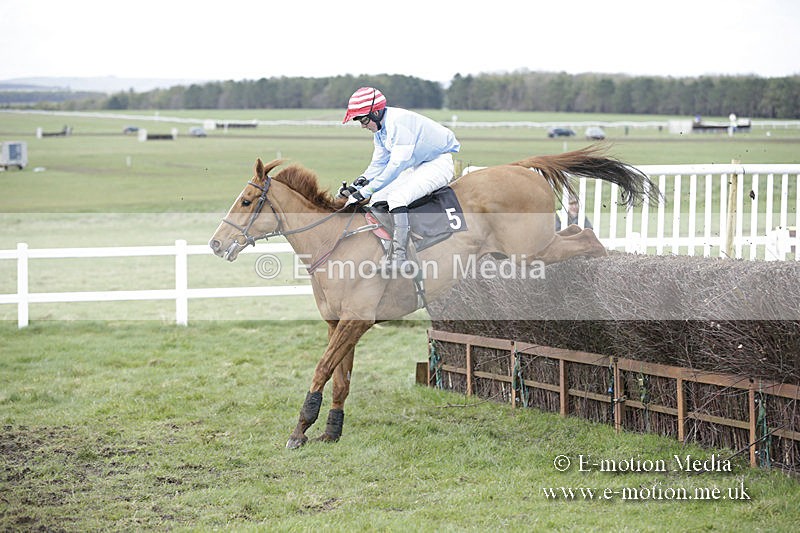 PtP 150320 0711 - New Forest Point-to-Point Larkhill 15/03/20