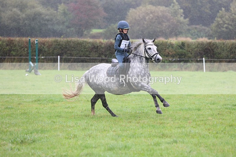 JPP_5144 - Class 1: 65cm : Showjumping