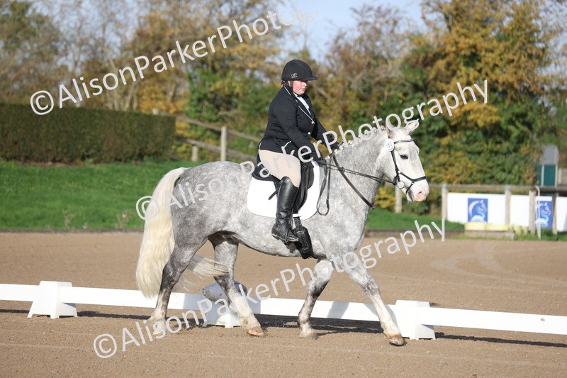 20251101-0005 - Class 1 - Intro 1