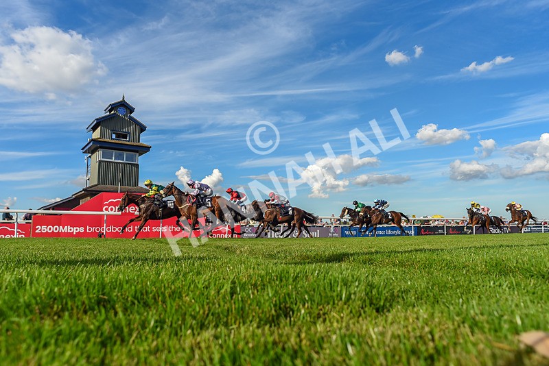 220926-Race 6-Coolree-7945 - Race 6 4.25pm Fango Handicap (Div I)