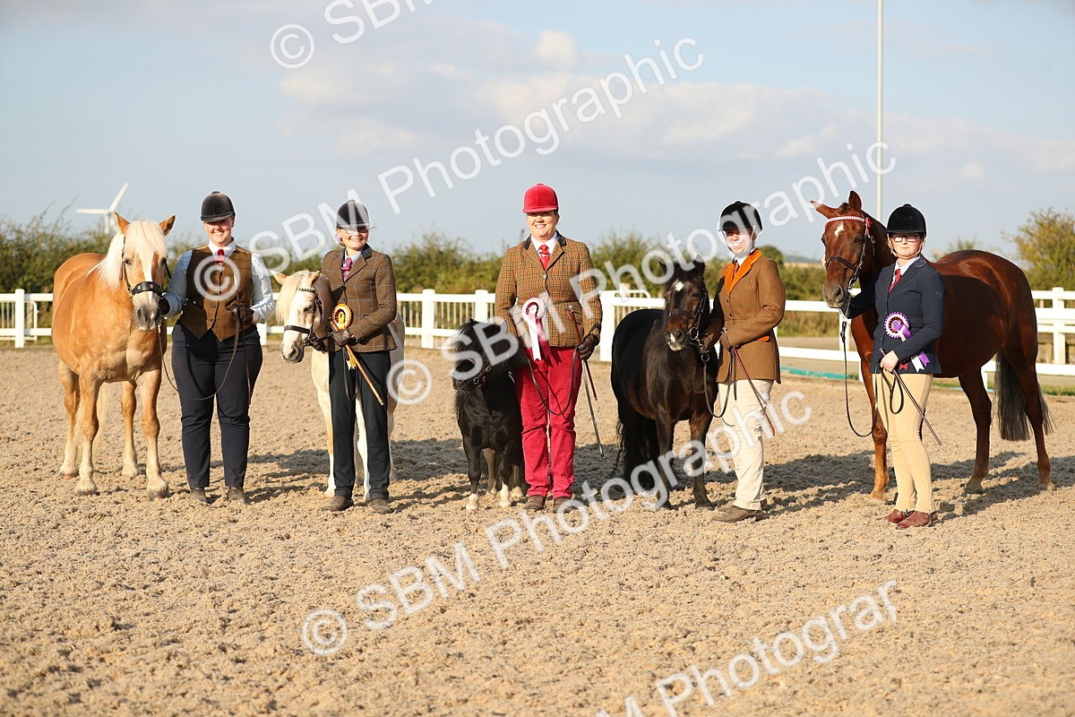 SBM_09151 - Class 29 IH Veteran Pony