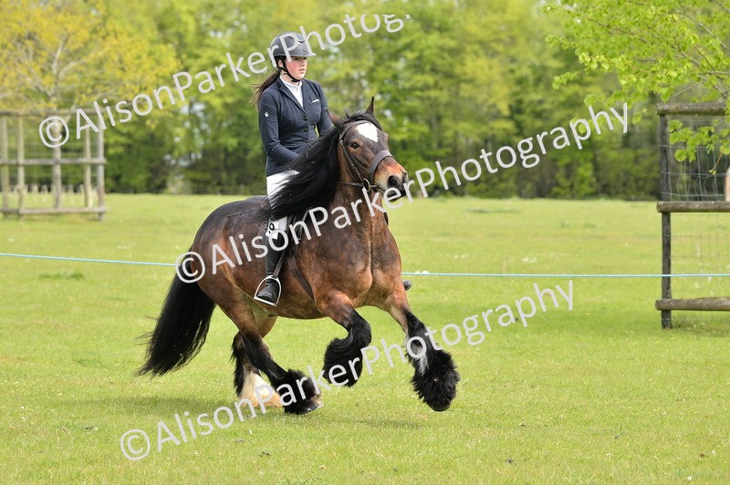 20260426-2438 - Class 21 - Working Hunter Ponies